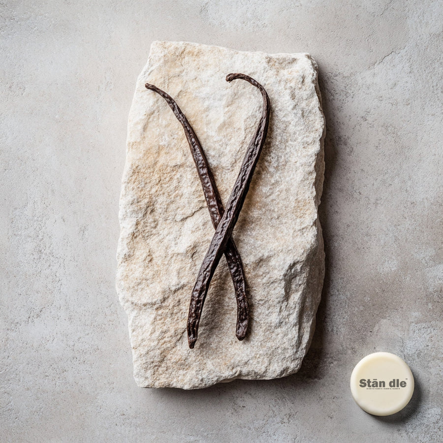 What Does Vanilla Smell Like?