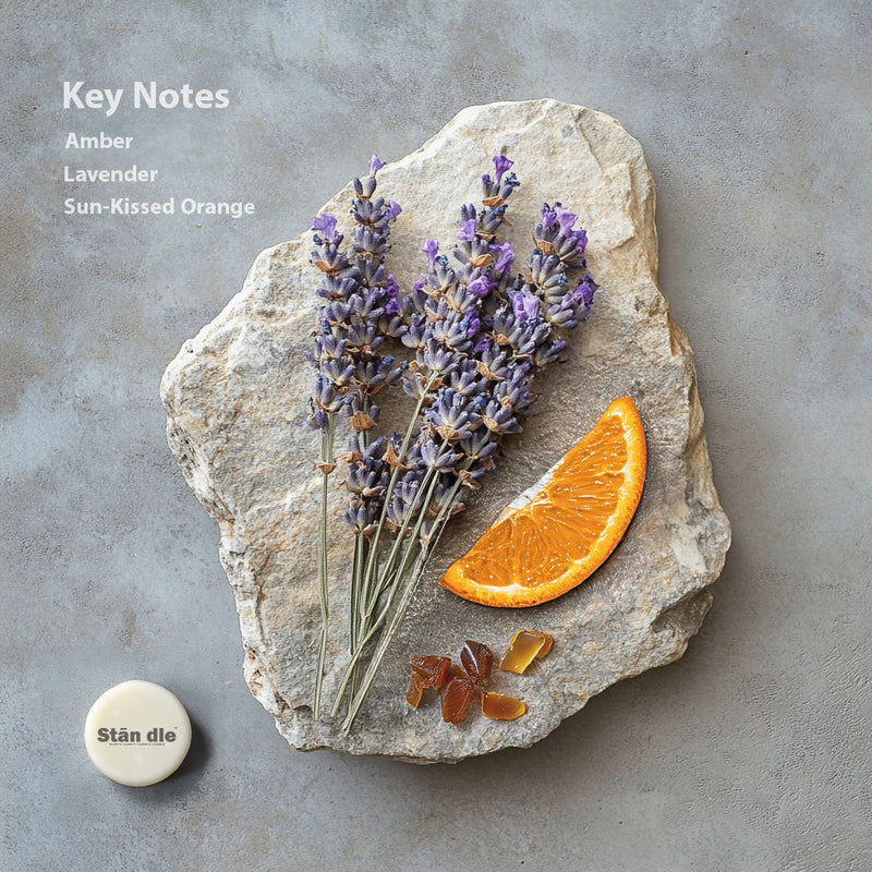 Key Notes of Lavendure 21 candle - Lavender, citrus & Amber