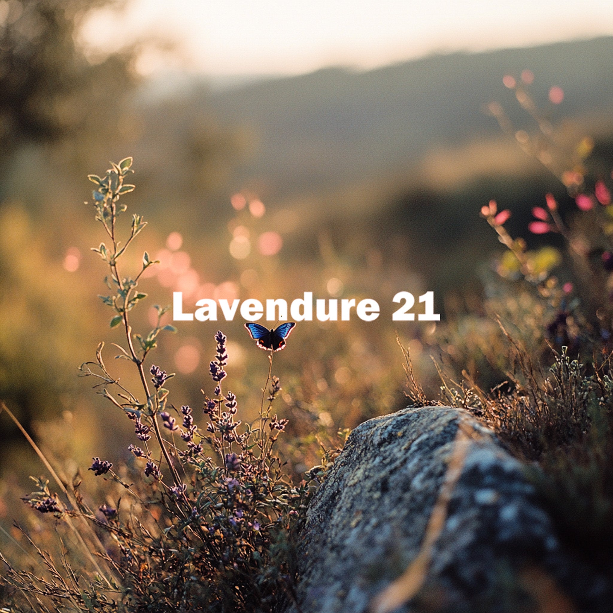 image of Lavendure 21