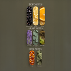 Lavendure 21 fragrance notes: black currant, lemon, orange top notes; lavender, eucalyptus leaf, fir needle heart notes; amber and oakmoss base notes