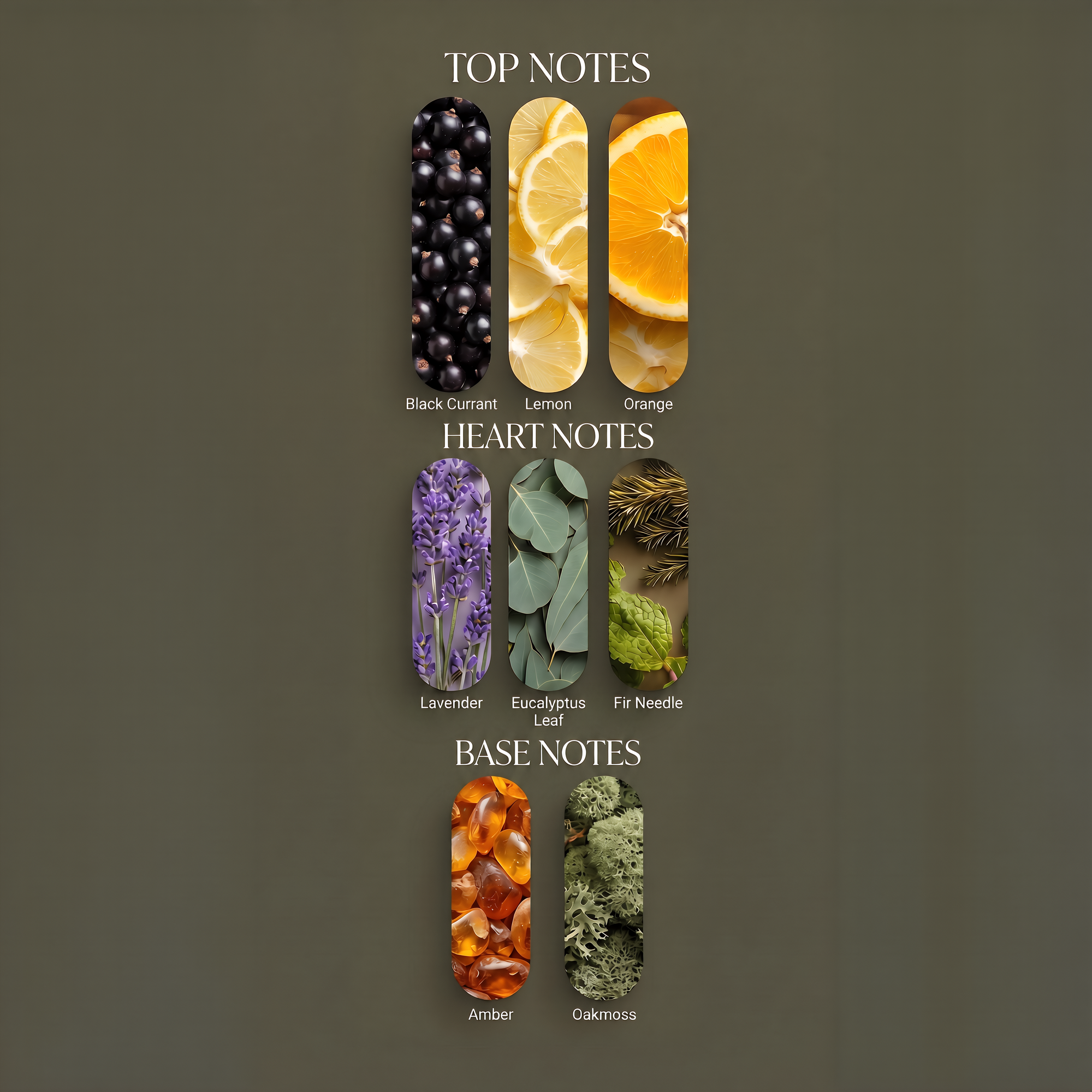 Lavendure 21 fragrance notes: black currant, lemon, orange top notes; lavender, eucalyptus leaf, fir needle heart notes; amber and oakmoss base notes